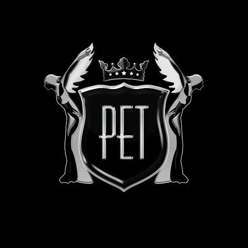 Platinum Executive Travel Platinum Executive Travel